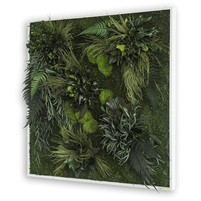 Plants & Flowers Wall Decor on Real Plants