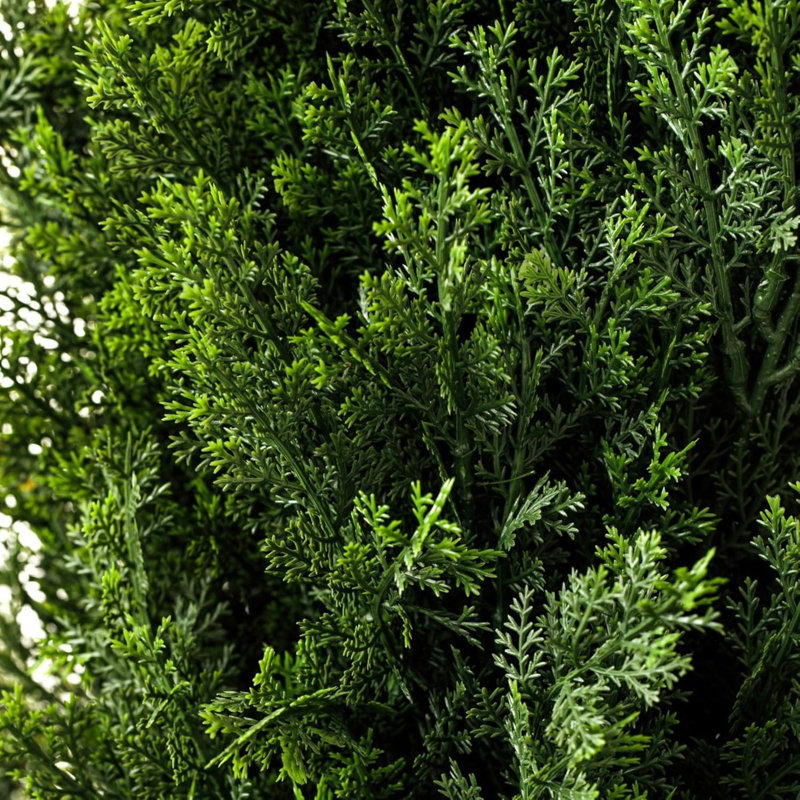 Faux Cedar Tree in Pot, 2, 36" H x 5.9" W x 5.9" D