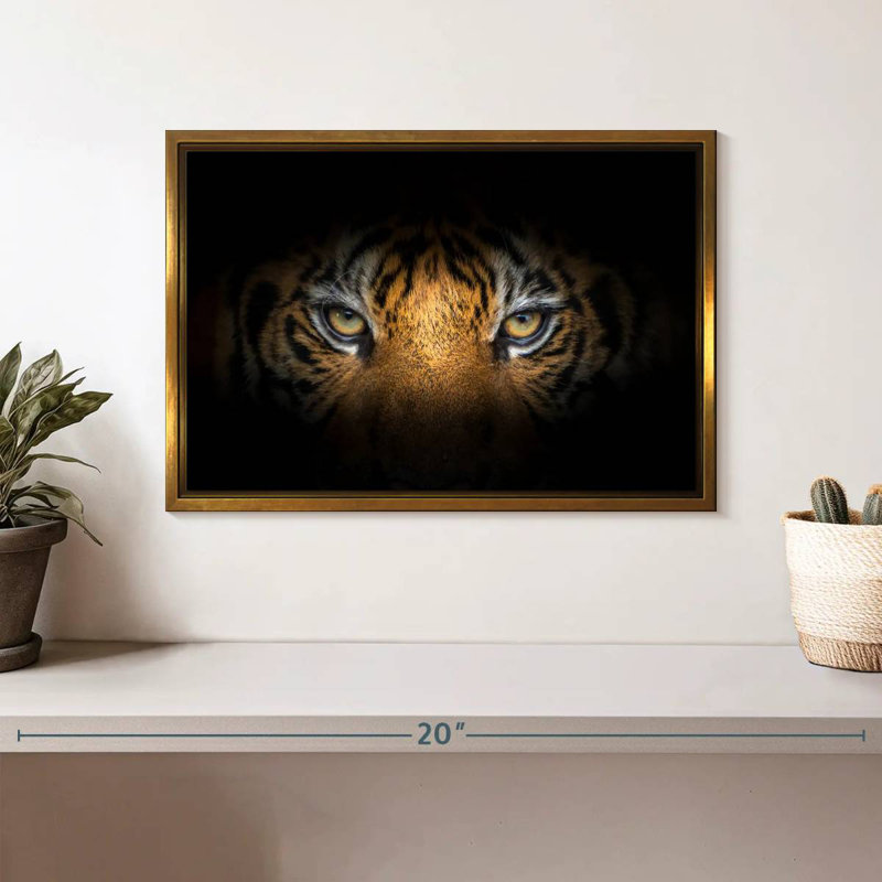 Tigre féroce, Cadre flottant doré, 13 po x 9 po