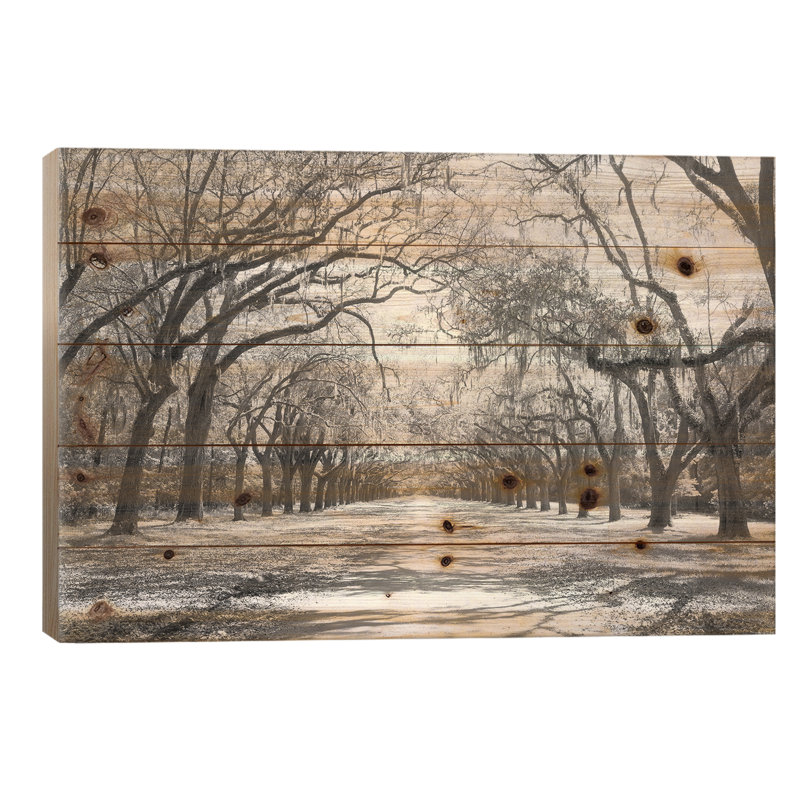 Live Oaks et Moss espagnol Wormsloe State, site historique de Savannah, Géorgie (noir et blanc) I, L 26 po x H 18 po