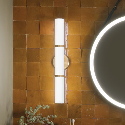 Rosh 24.25-in Champagne Bronze LED CCT Bath Bar with White Glass Shade