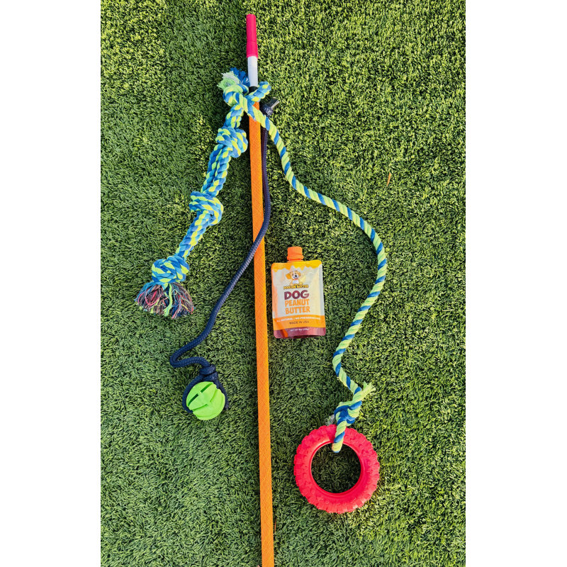 Remorque d'extérieur pour chien avec jeu de traitement de pneu en corde - jouet interactif pour chien pour un jeu actif