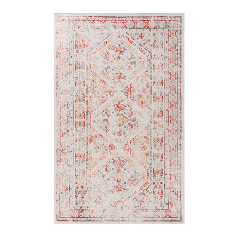 Area Rug, 5X8 , Washable Rug, Low-Pile, Non-Slip, Non-Shedding, Foldable, Kid & Pet Friendly - S For Living Room, Bedroom, Kitchen