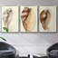 Splendid Shells I, ensemble de 3 toiles encadrées sur toile-97946290-97946291