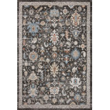 Anisha Oriental Indoor Rug
