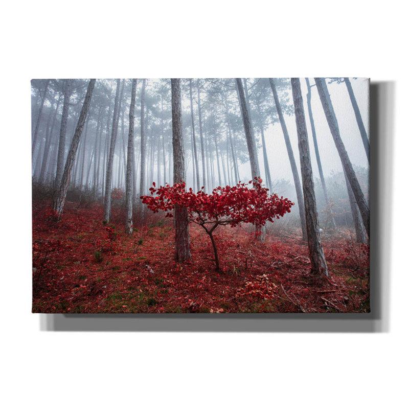 Art mural sur toile Millwood Pines, H 18 po x l 26 po x P 0,75 po