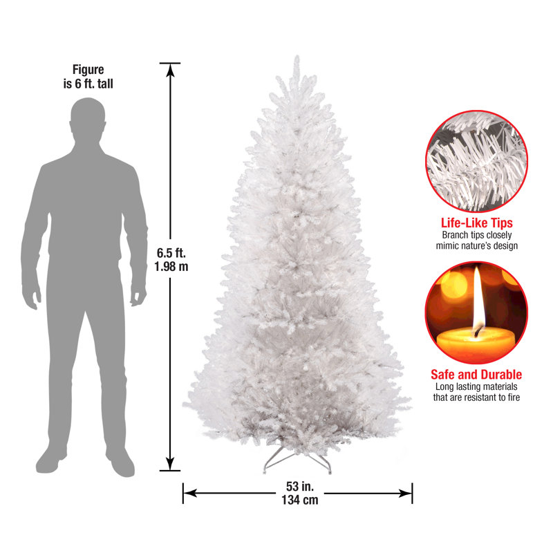 Hashtag Home Dunhill Fir Christmas Tree & Reviews | Wayfair