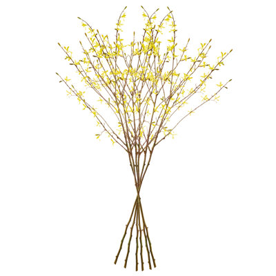 FORSYTHIA STEMS 47 ", ENSEMBLE DE 6