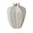 Star Fruit Vase-64402281