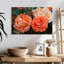 Roses hybrides orange Harnek-107687384