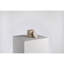 Less Is More Low Container W/ Lid - Travertine Marble Cream