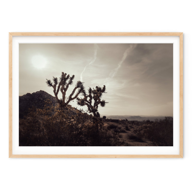 Mojave Desert, 34.5" H x 47.5" W, Natural