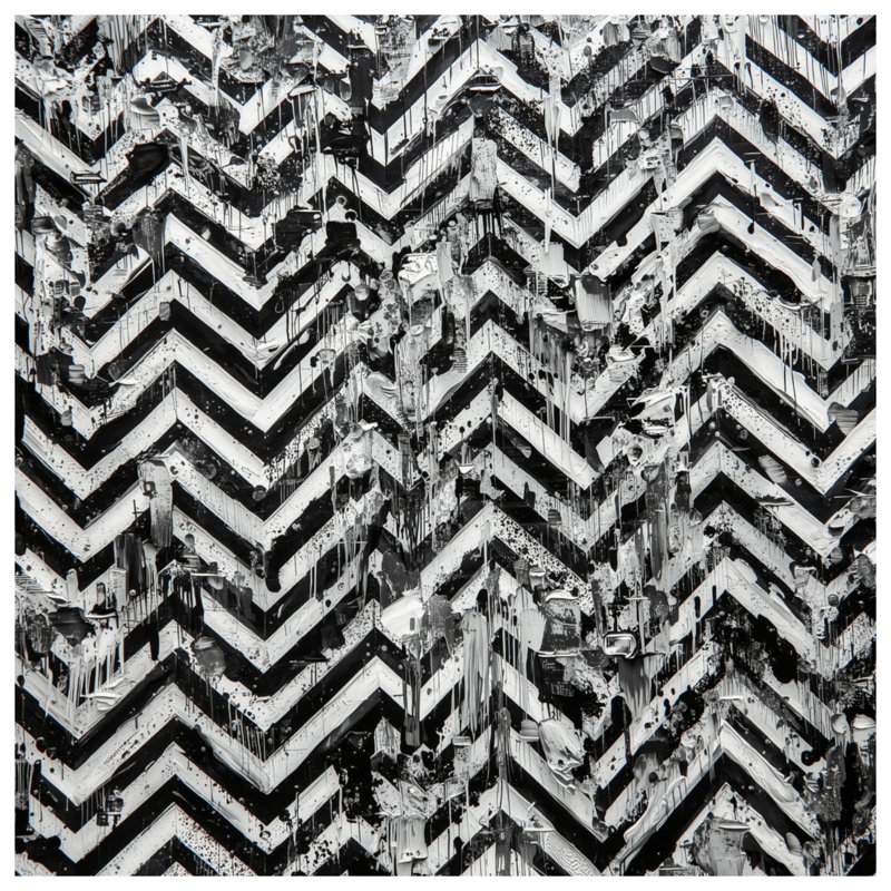 Rideaux de douche noir et blanc à motif de chevrons très longs, L 70 po x H 84 po