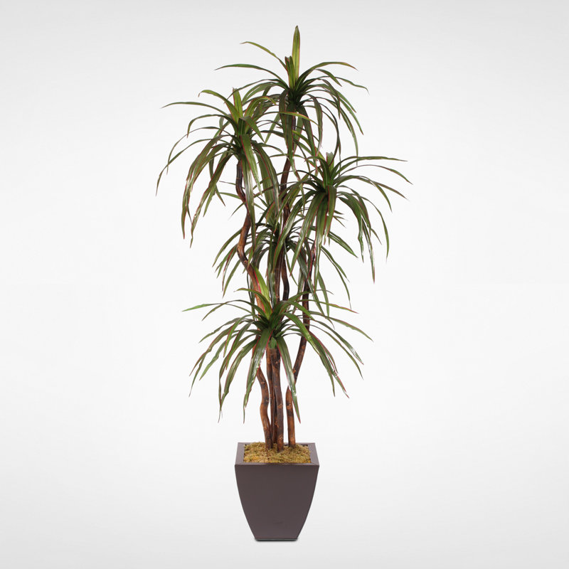 Faux Yucca Tree in Metal Planter