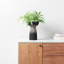 David Ceramic Planter