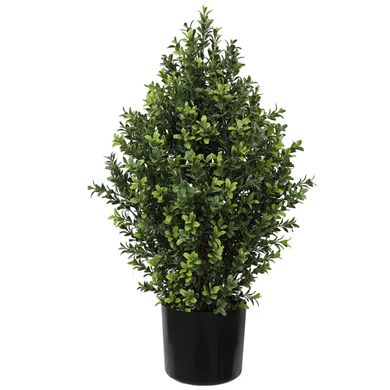 Topiaire UV 36 "buisson de buis, H 24 po x l 17 po x P 17 po