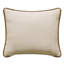 Aiden Lumbar Pillow Cover & Insert