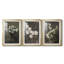 Imprimé floral rétro CCL XXXVII - impression encadrée sur mesure de qualité supérieure mat - 3 pièces-795955393-795955407