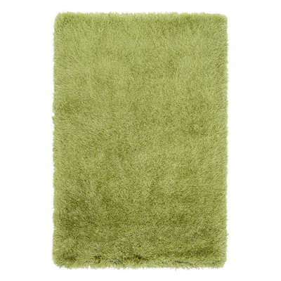 Beatty Shiny Shaggy Green Rug