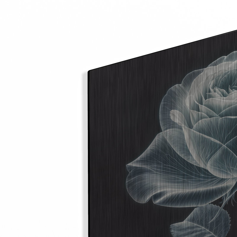  «Rose X Ray» par Rey Klimt, art mural en métal, H 24 po x l 24 po