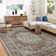 Area Rugs Living Room Washable Vintage Rug Neutral Non-Slip Soft Stain Resistant Indoor Carpet for Bedroom Nursery Dining Room