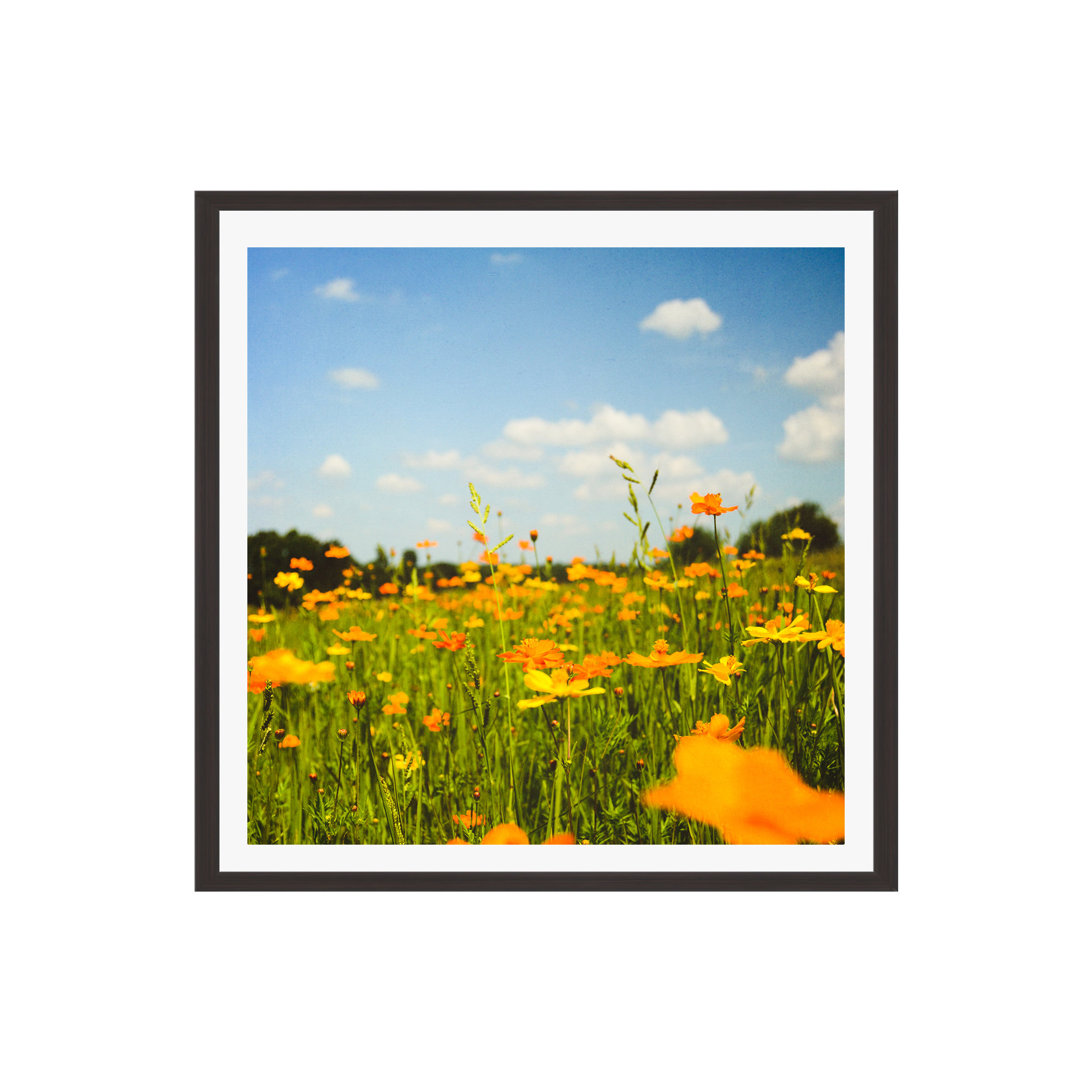 Summertime Good Vibes by Olivia St Claire, No, Espresso Floater Framed, 20" W x 20" H