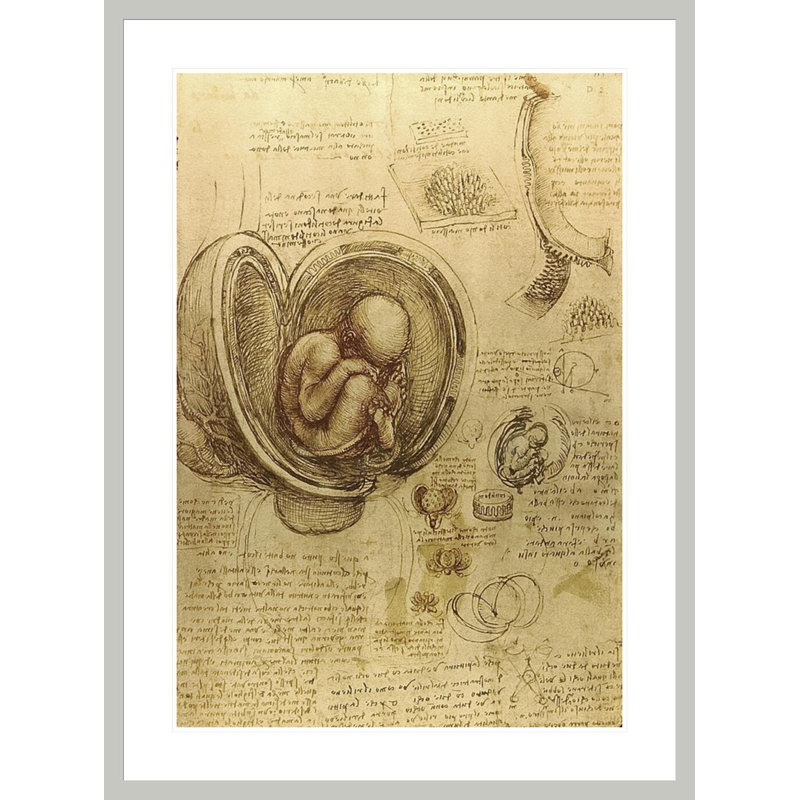 Étude du fœtus par Léonard de Vinci, impression giclée encadrée, 41.5" H x 30.65" W