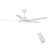 48 In Intergrated LED Ceiling Fan with White ABS Blade