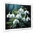 Cadre simple blanc