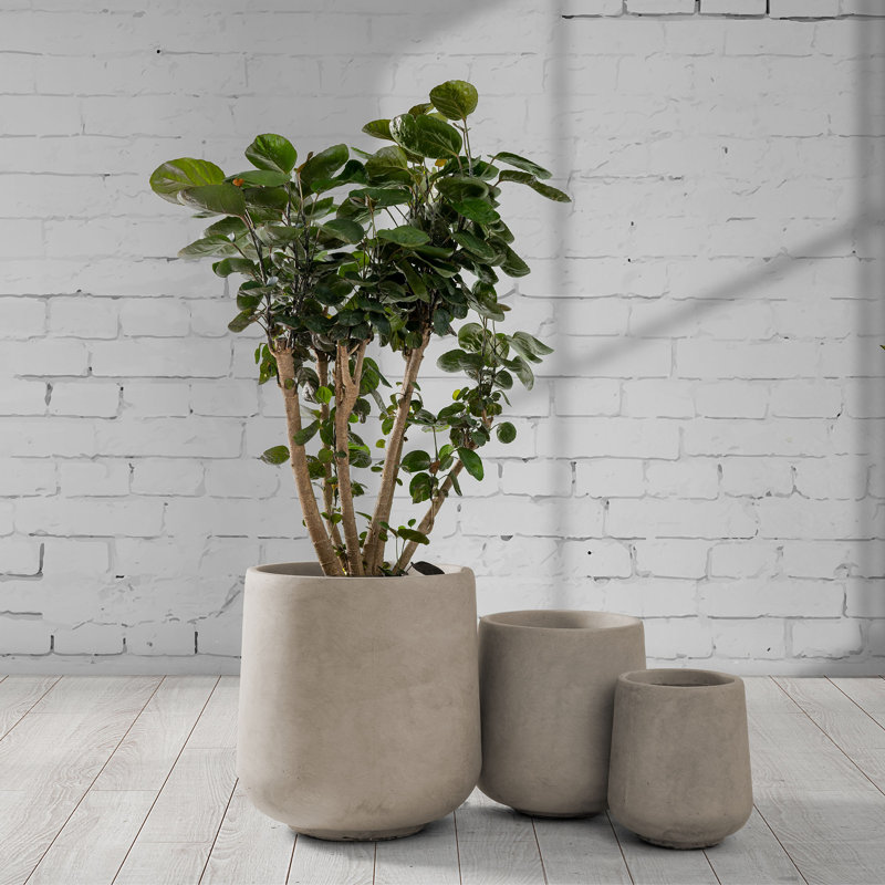 Weathered Concrete Round Planter Set with Drainage Holes