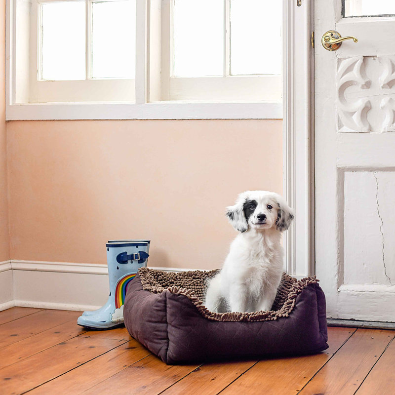 Lit pour animaux en polyester DGS Pet Products, L 20 po x P 22 po x H 8 po, Petit, Brun