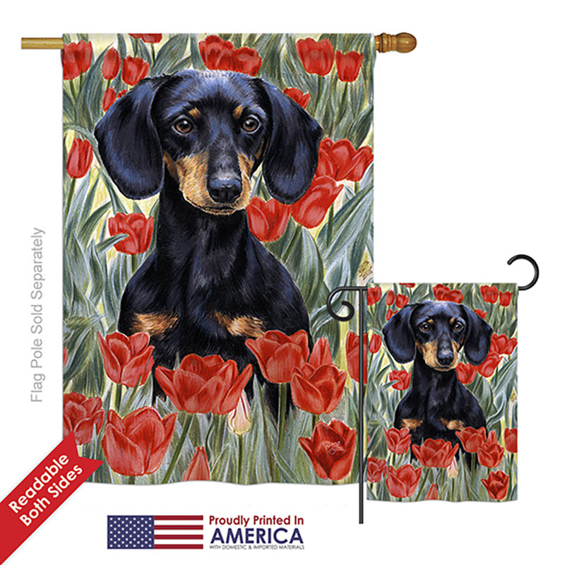 Ensemble de drapeaux 40 x 28 po Portier Dachshund In Tulipes