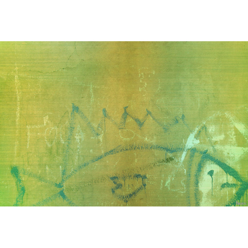 Parvez Taj - Wrapped Canvas Print, 76cm H x 114cm W