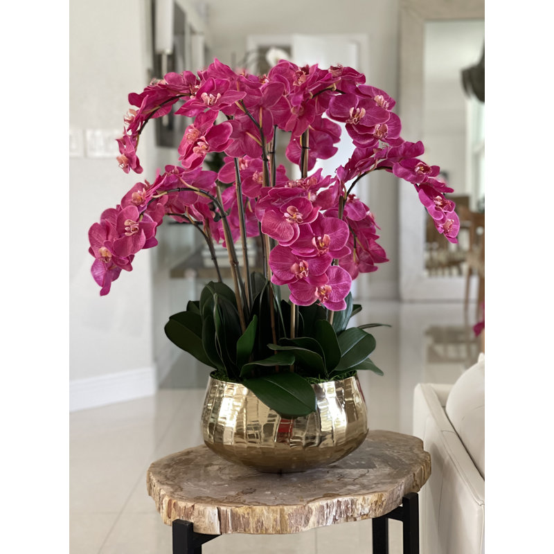 Roberi bowl with multiple stems of white Phalaenopsis orchids, 38" H x 22" W x 22" D, Pink