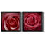 Wild Wild - 2 pièces encadrées sur toile-314267091-314267092