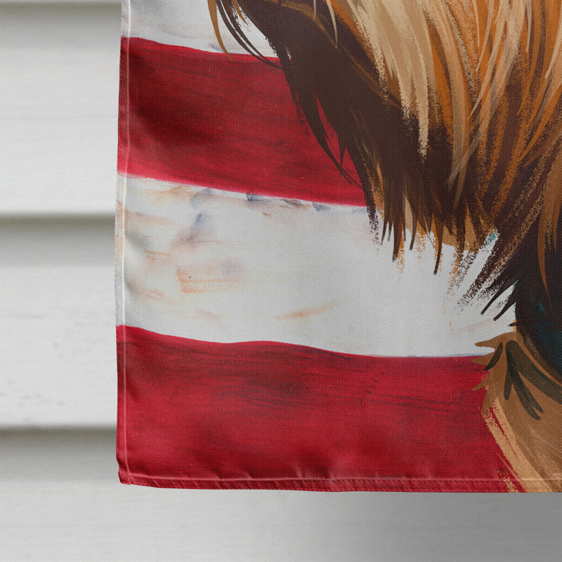Polyester à 2 côtés 28 x 40 po drapeau maison, Griffon fauve de Bretagne