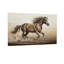 «Animals Courir», reproduction d'art sur toile-135908398