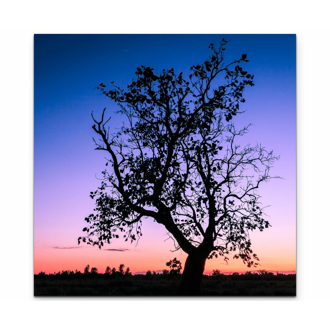 Leinwandbild Tree Silhouette