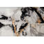 Tapis moderne, tapis de style abstrait-878514470