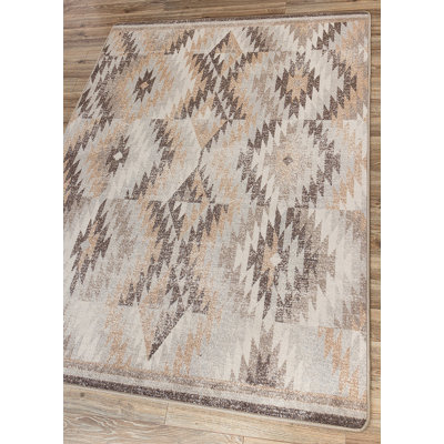 Shameka Southwestern Indoor Rug