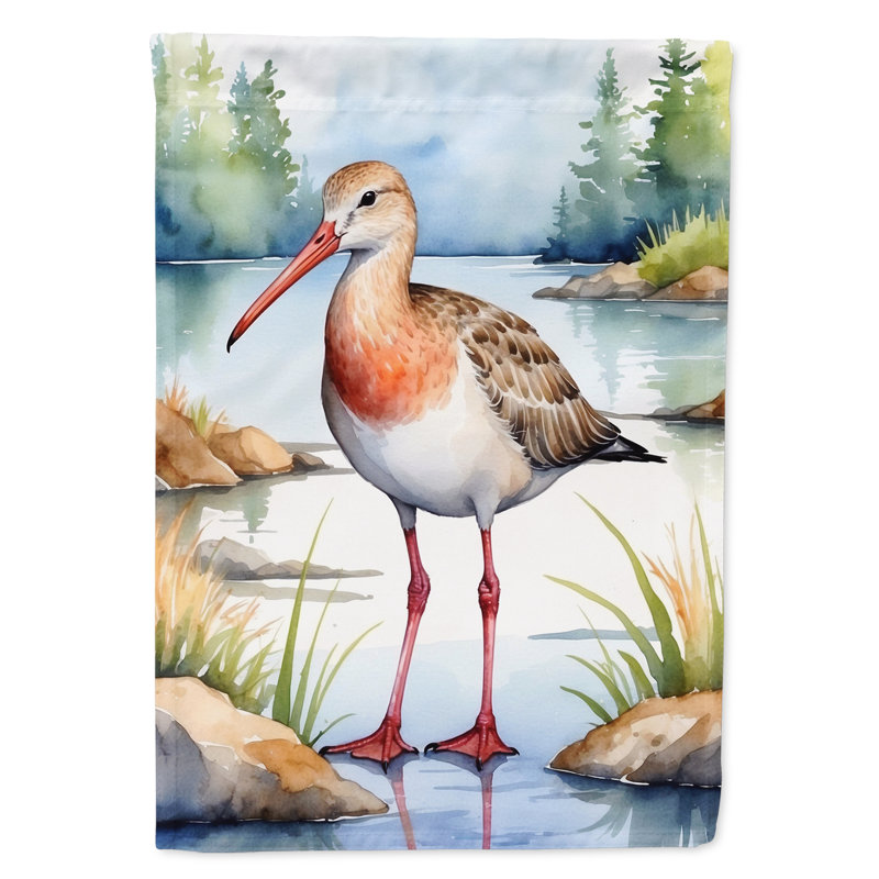 Drapeau de jardin Surfbird Bird, Barge hudsonienne