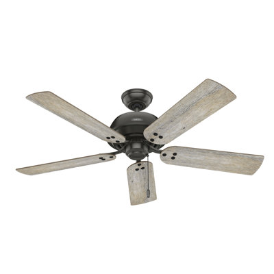 52" Shady Grove 5 - Blade Ceiling Fan With LED Light Kit And Pull Chain