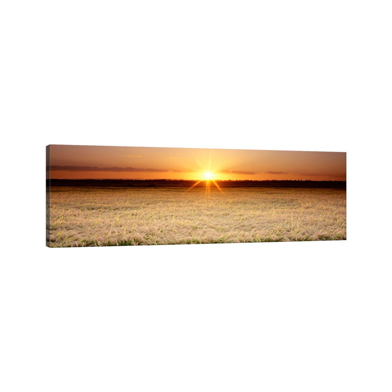 Rice Field, Sacramento Valley, California, USA by Panoramic Images - Wrapped Canvas Panoramic Print
