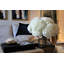 White Hydrangeas In Clear Glass Cylinder Vase-875334990-875334977