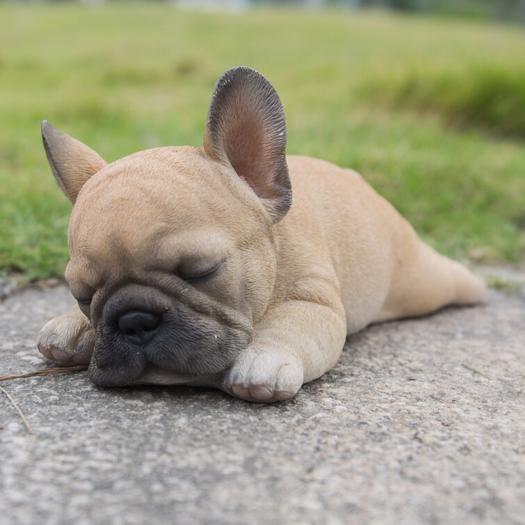 Hi-Line Gift 7 Sitting Sleepy Bulldog Puppy Garden Statue