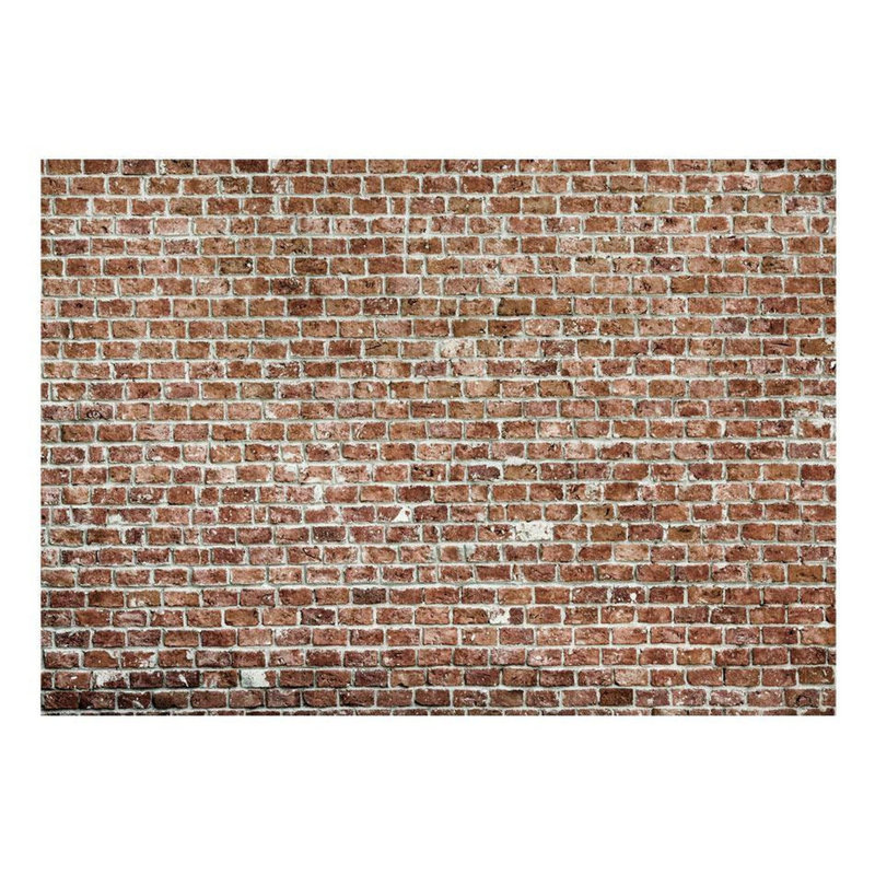 Murale brique Damayia, Brun, L 96 po x l 137 po