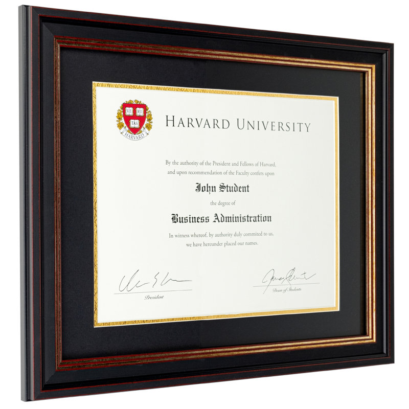 Blakes Wood Beveled Picture Frame with Mat, Black/Bronze
