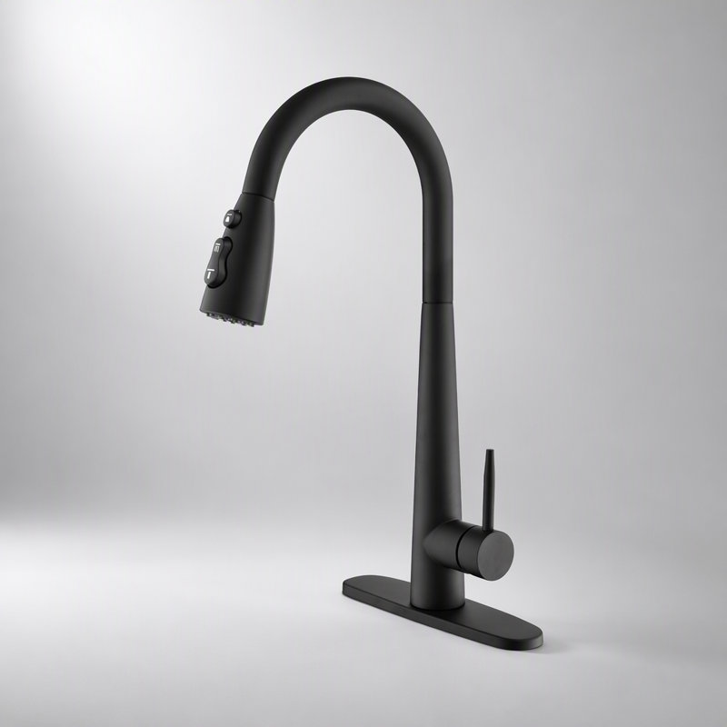 Robinet d'évier de cuisine à poignée simple en acier inoxydable avec douchette extractible pour un contrôle facile de l'eau