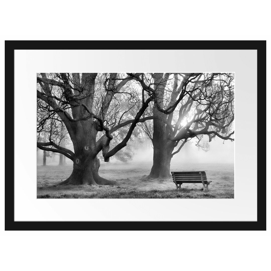 Gerahmtes Poster Baum und Bank im Nebel