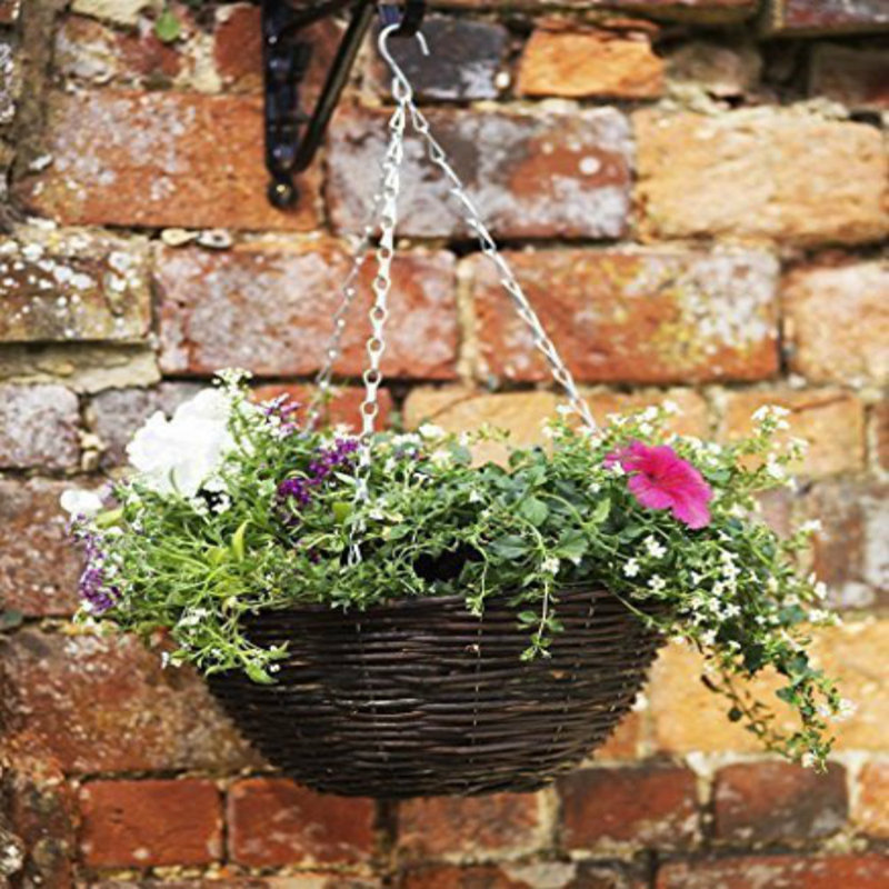 Harnden Hanging Planter